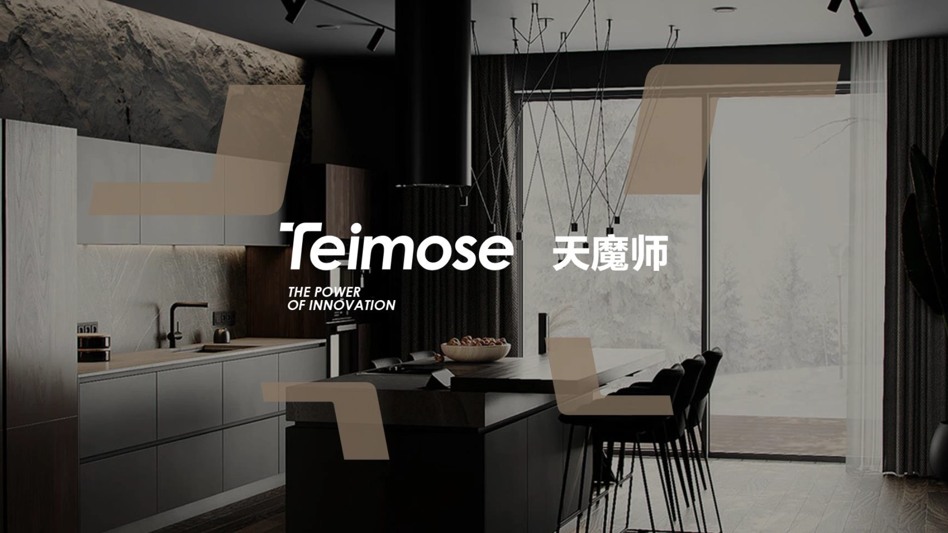 TEIMOSE 品牌视觉